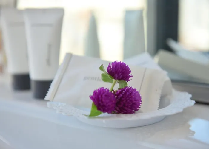 波希米亚酒店 地拉那