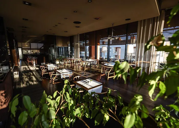 酒店 波希米亚酒店 地拉那