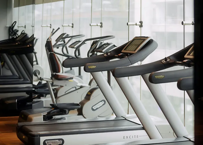 酒店 波希米亚酒店 4*